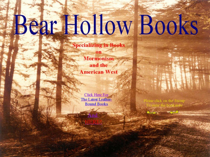 www.bearhollowbooks.com