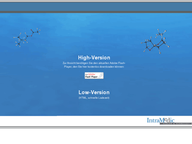 www.glycemic-variability.net