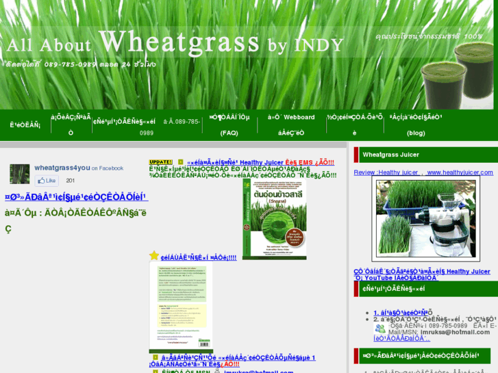 www.grass4cat.com