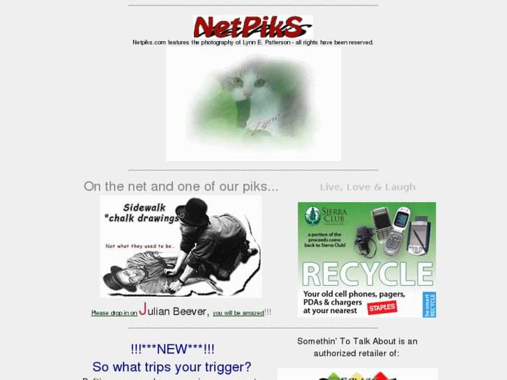 www.netpiks.com