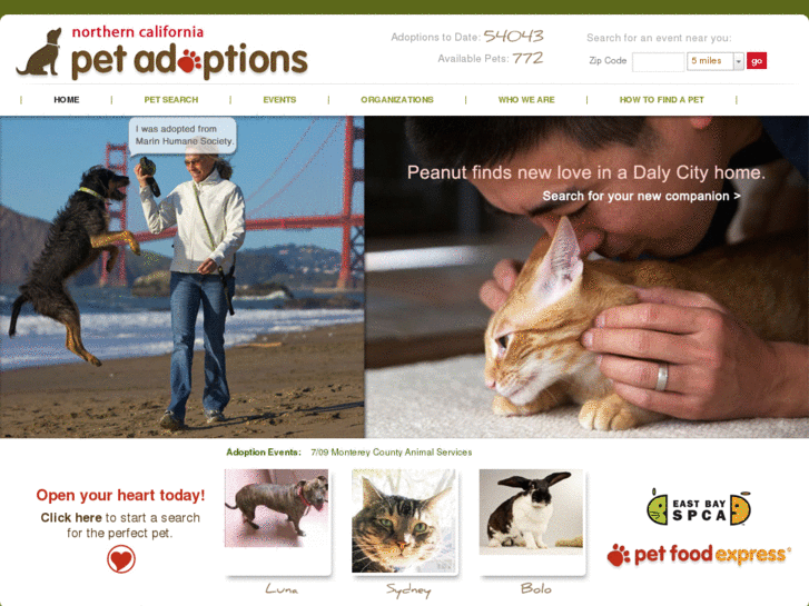 www.virtualcatadoptions.com