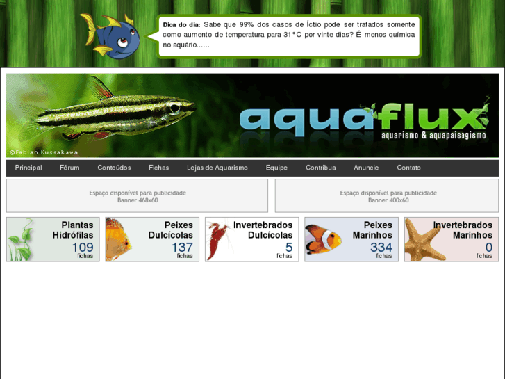 www.aquaflux.com.br