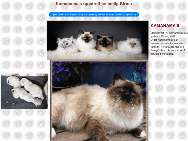 www.birmakatt.com