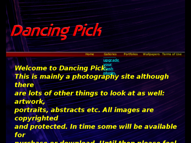 www.dancingpick.com