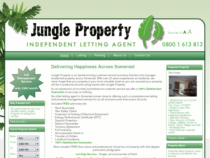 www.jungleproperty.co.uk