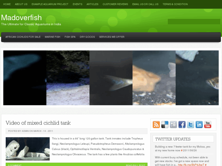 www.madoverfish.com