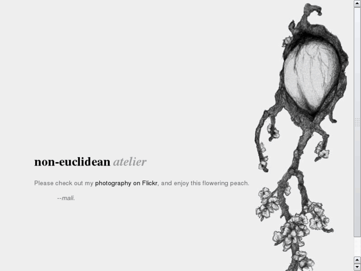 www.non-euclidean.com
