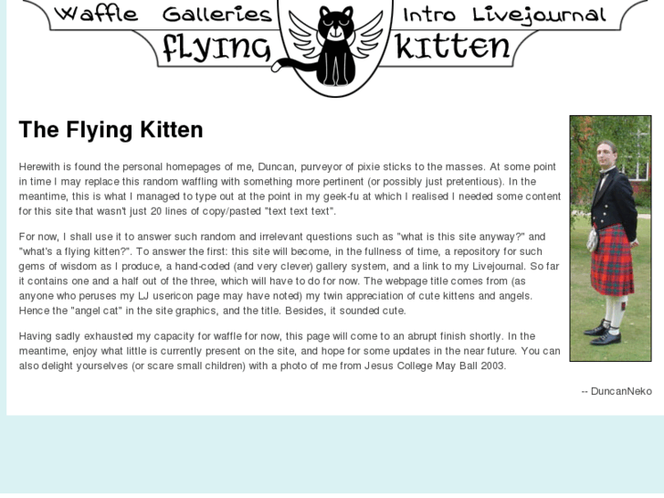 www.flyingkitten.com