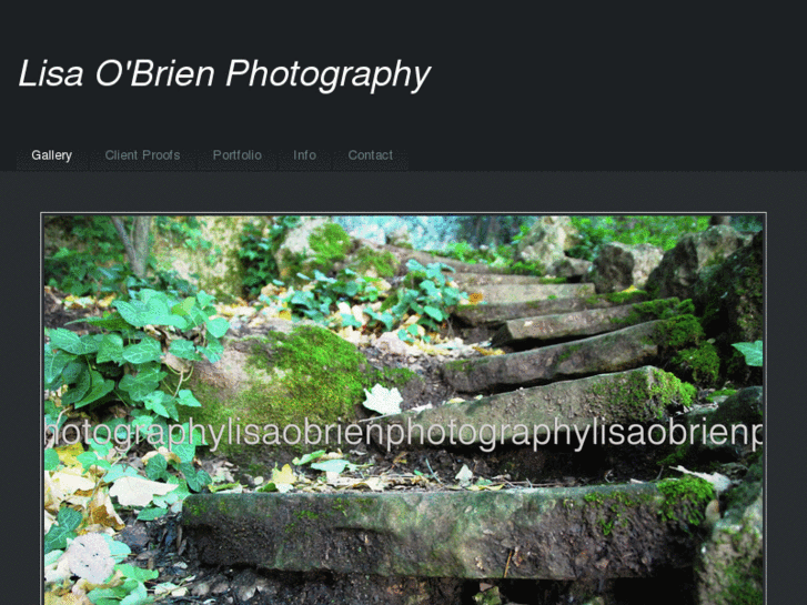 www.lisaobrienphotography.com