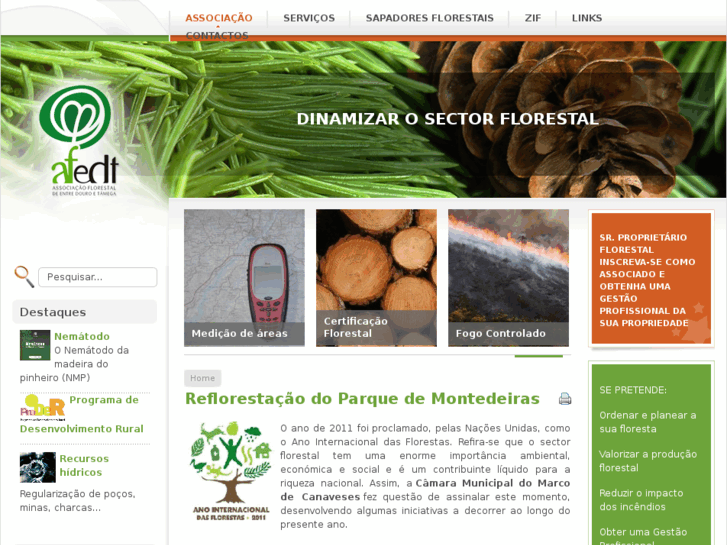 www.maisfloresta.com