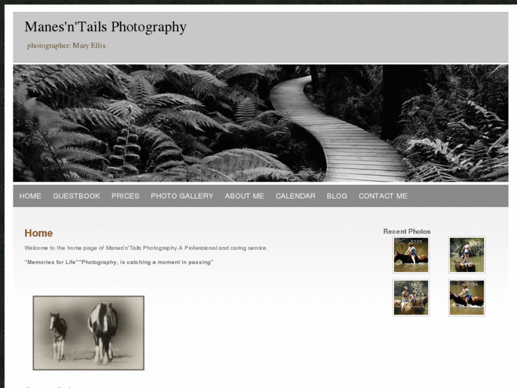 www.mtphotographyoz.com