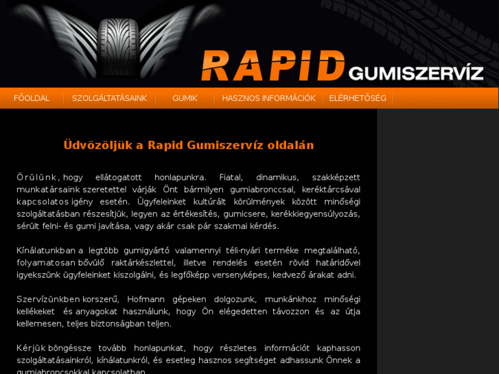 www.rapidgumi.com