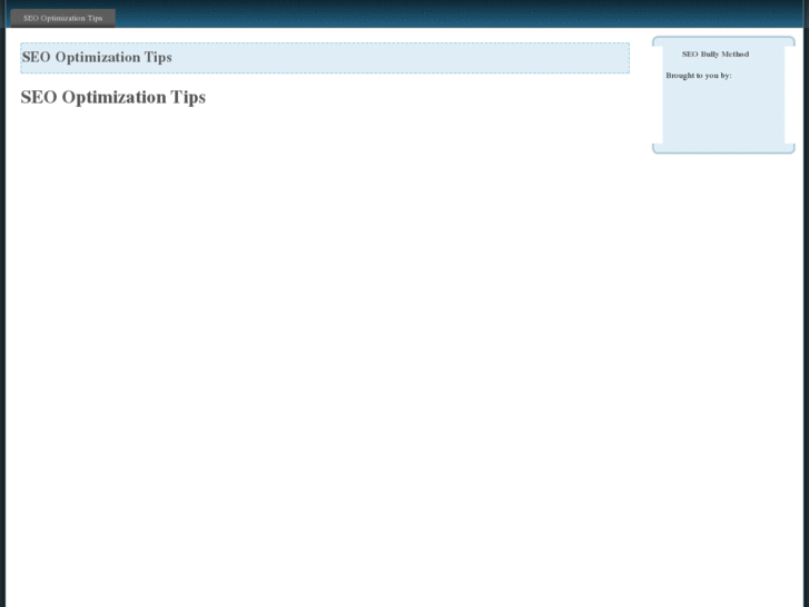 www.seooptimizationtips.net