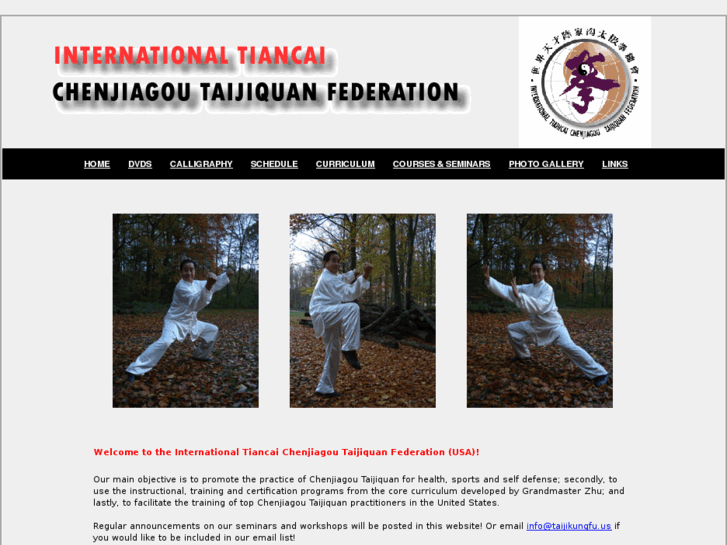 www.taijikungfu.us