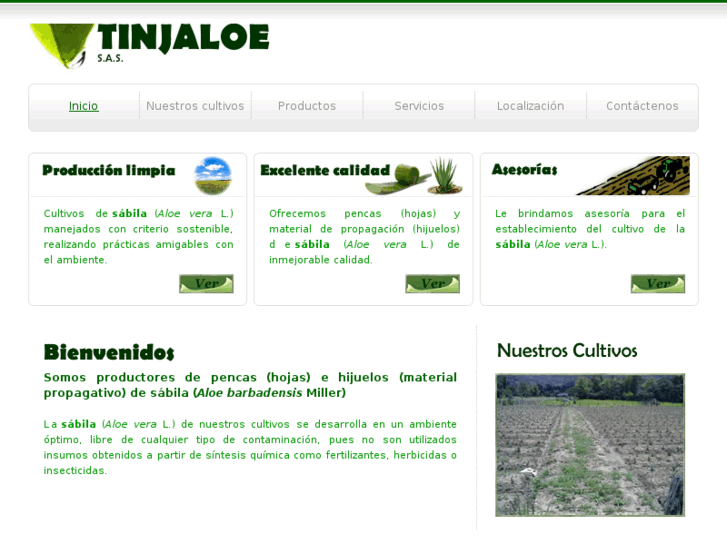 www.tinjaloe.com