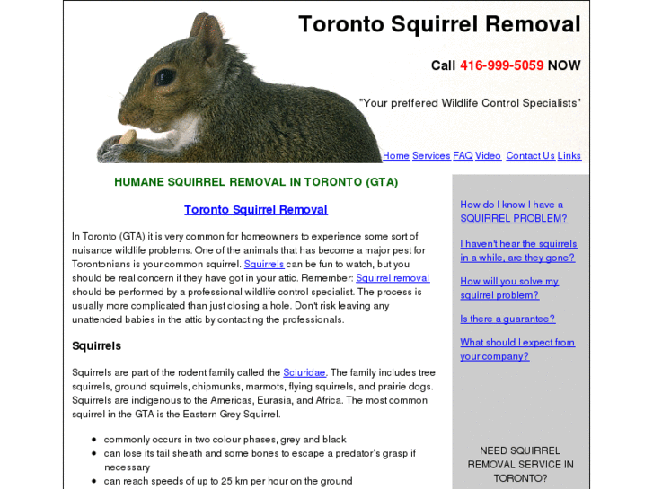 www.torontosquirrelremoval.com