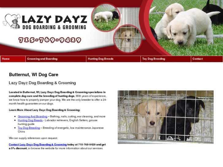 www.lazydayzdogboardingandgrooming.com