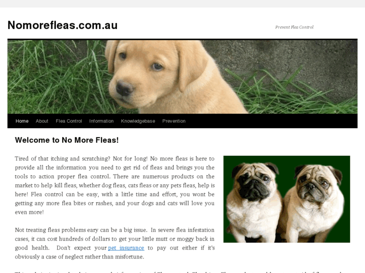 www.nomorefleas.com.au