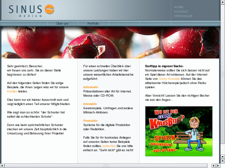 www.sinus-medien.de