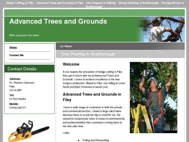 www.treesurgeonscarborough.com