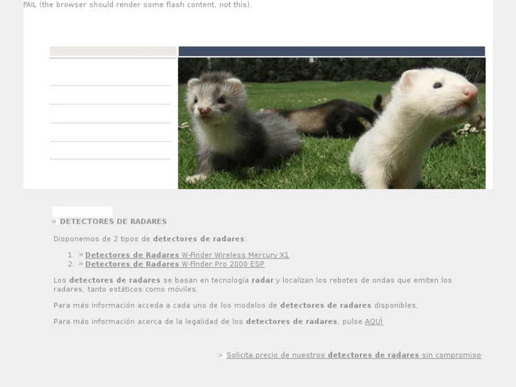 www.detectoresderadares.net