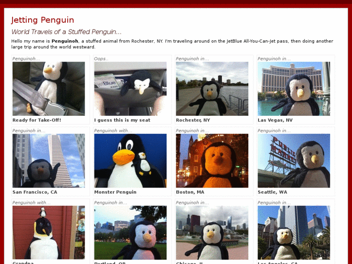 www.jettingpenguin.com