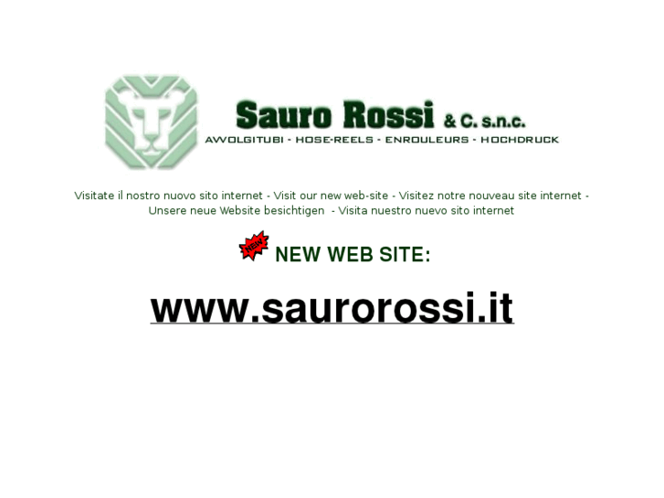 www.saurorossi.com