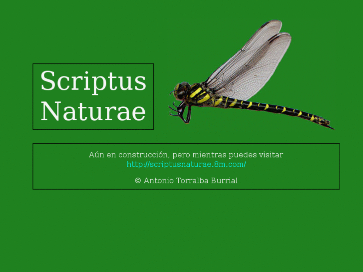 www.scriptusnaturae.com