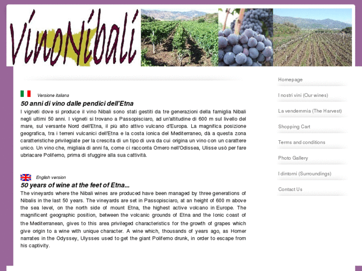 www.vinonibali.com