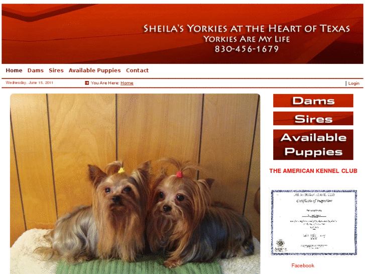 www.yorkiesaremylife.com