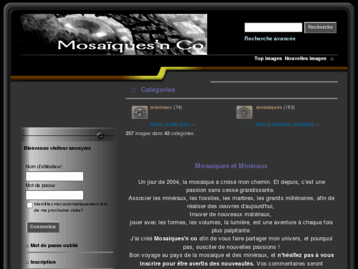 www.mosaiquesnco.com