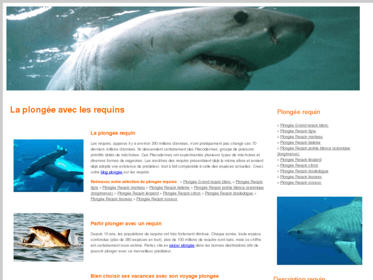 www.plongee-requin.com