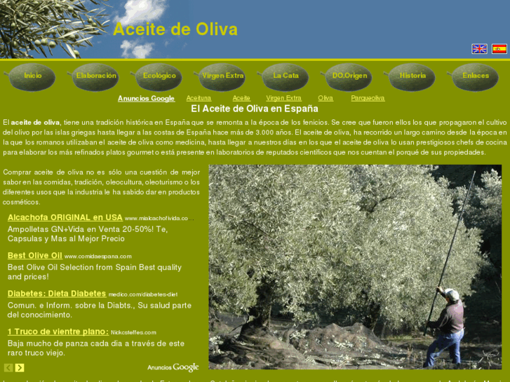 www.aceite-de-oliva.es