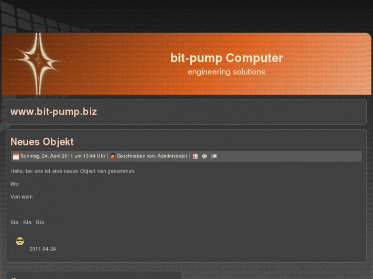 www.bit-pump.com