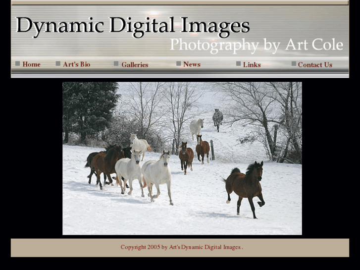 www.dynamicdigitalimages.net