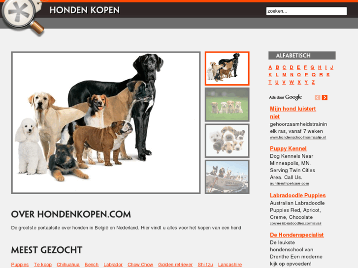 www.hondenkopen.com