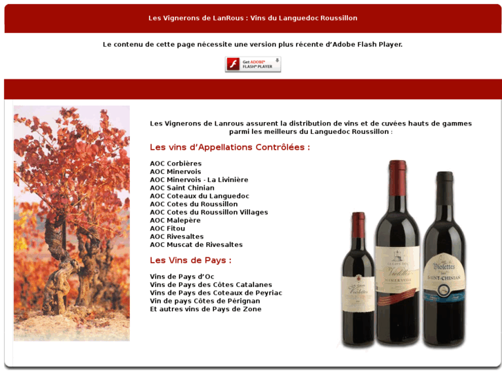 www.lesvigneronsdelanrous.com