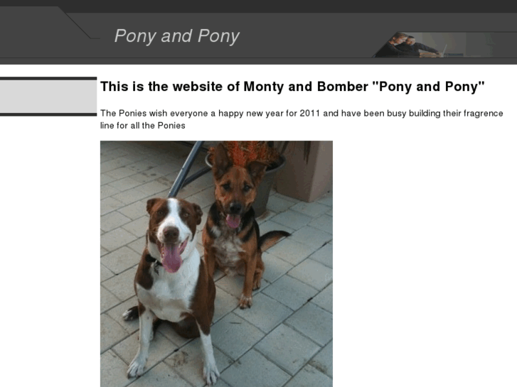 www.ponyandpony.com