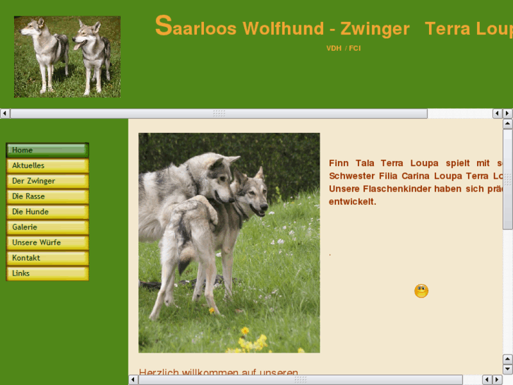 www.saarlooswolfhunde.com