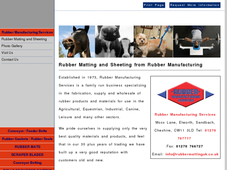 www.rubbermanufacturingservices.com