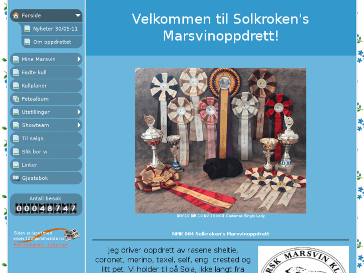 www.solkroken-marsvin.com