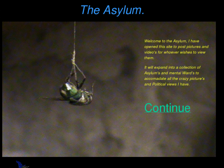 www.tedsasylum.com