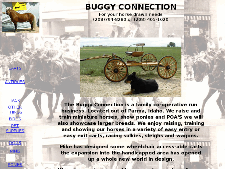 www.buggyconnection.com