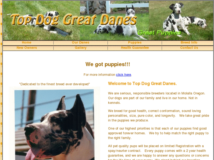 www.greatpuppies.org