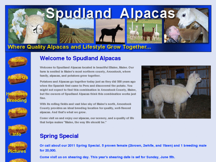 www.spudlandalpacas.com