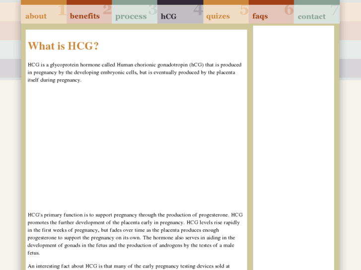 www.what-is-hcg.com