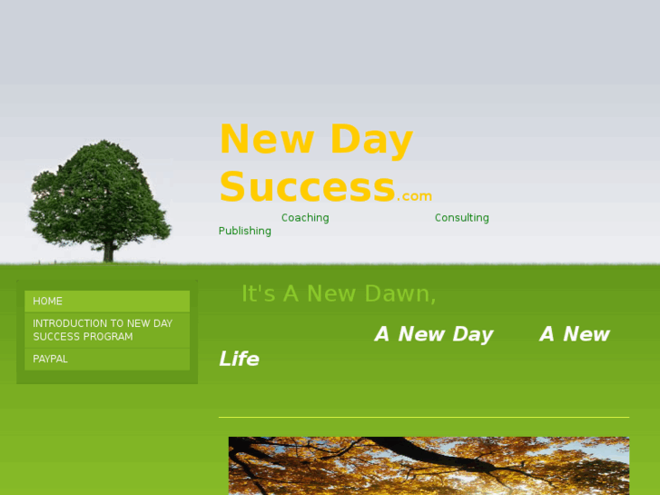 www.newdaysuccess.com