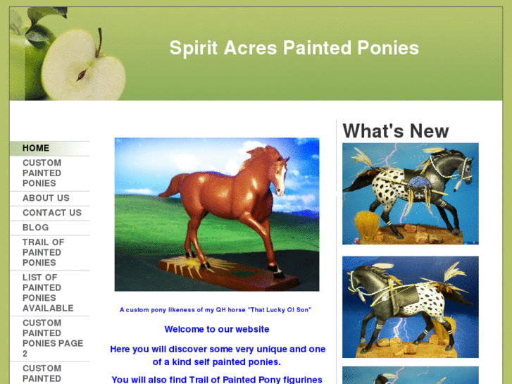 www.spiritacrespaintedponies.com