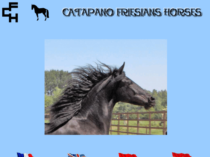 www.catapanofriesianshorses.org