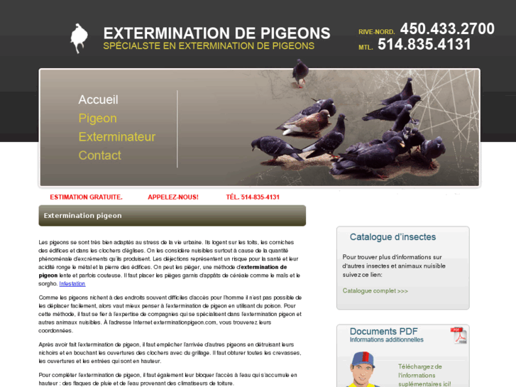 www.exterminationpigeon.com